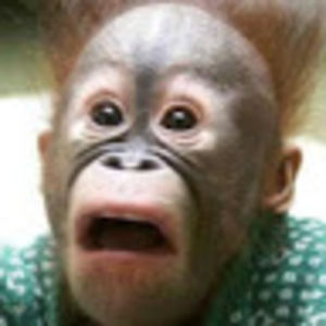 Meet your Posher, Hilary